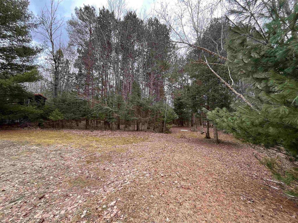Forest Home Twp, MI 49615,VL Briar Lane Lot: 4