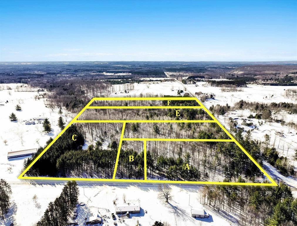 Greenwood Twp, MI 49649,0 29 1/2 Road