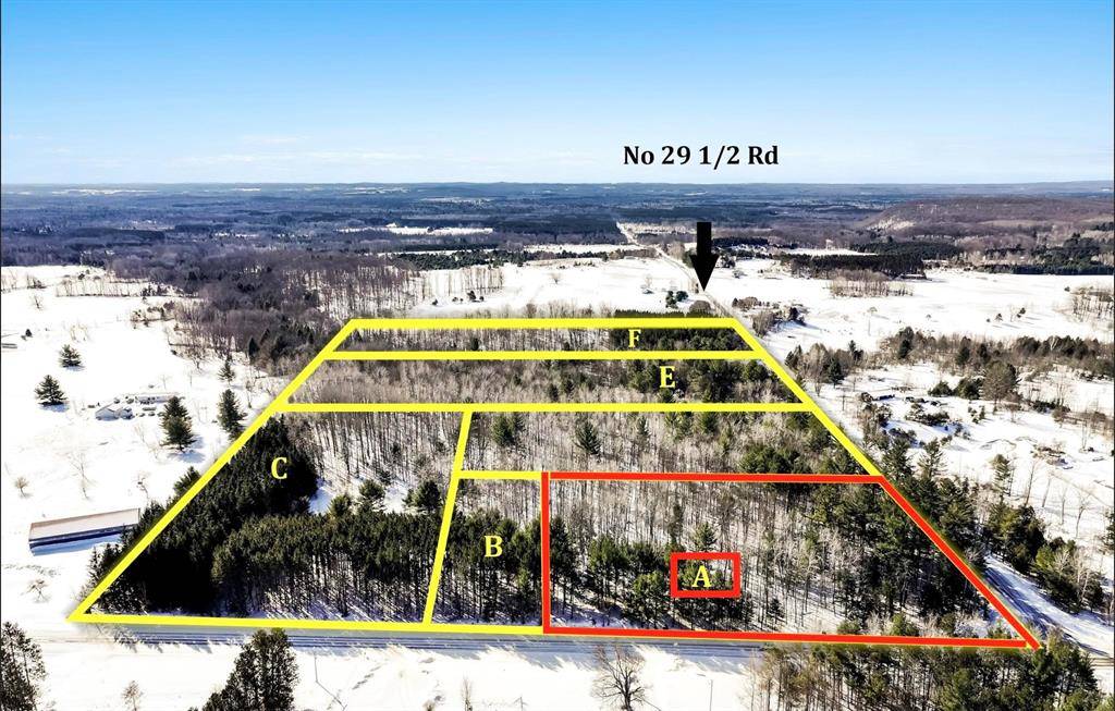 Greenwood Twp, MI 49649,0 29 1/2 Road Parcel A