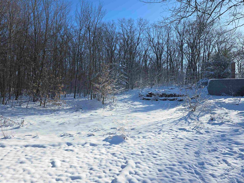 Cedar Creek Twp, MI 49663,1830 N Mackinaw Trail