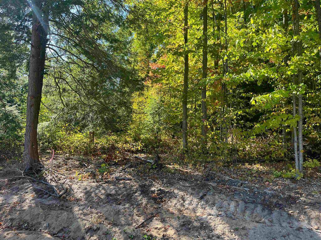 Long Lake Twp, MI 49685,4735 Leaning Birch Drive