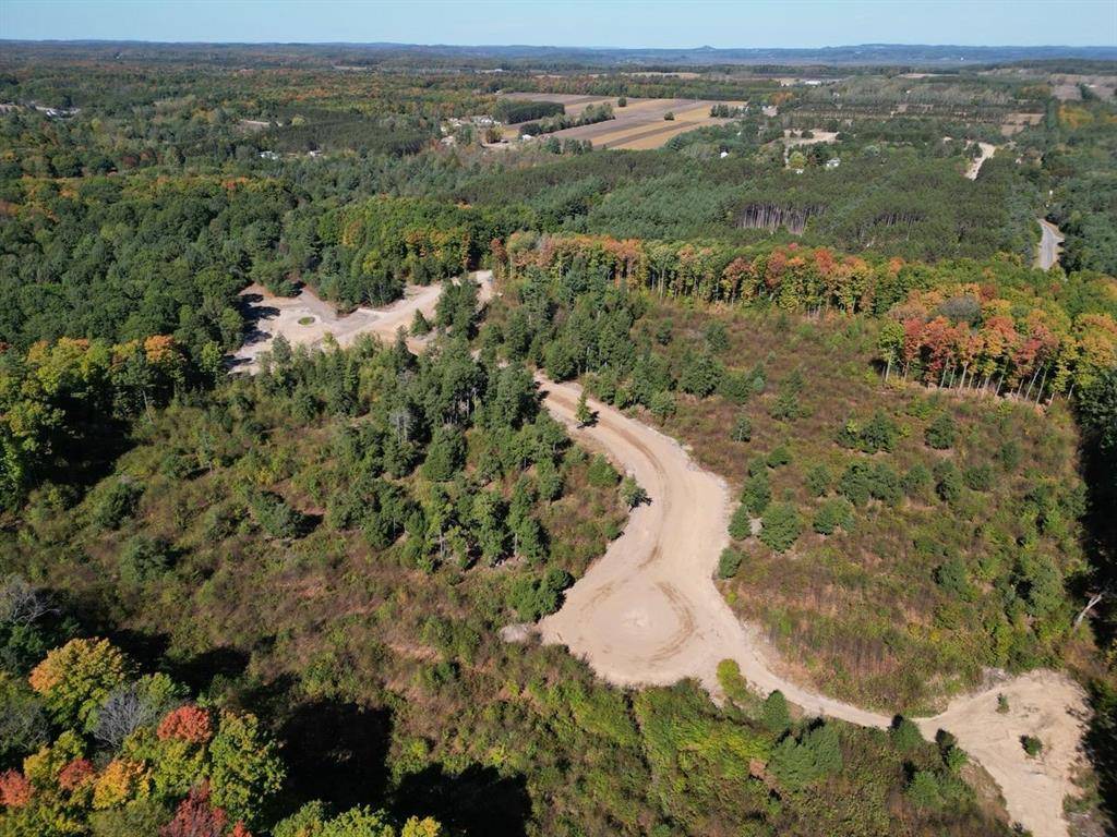 Long Lake Twp, MI 49685,4717 Leaning Birch Drive