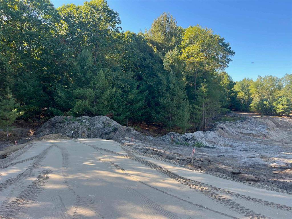 Long Lake Twp, MI 49685,4665 Leaning Birch Drive