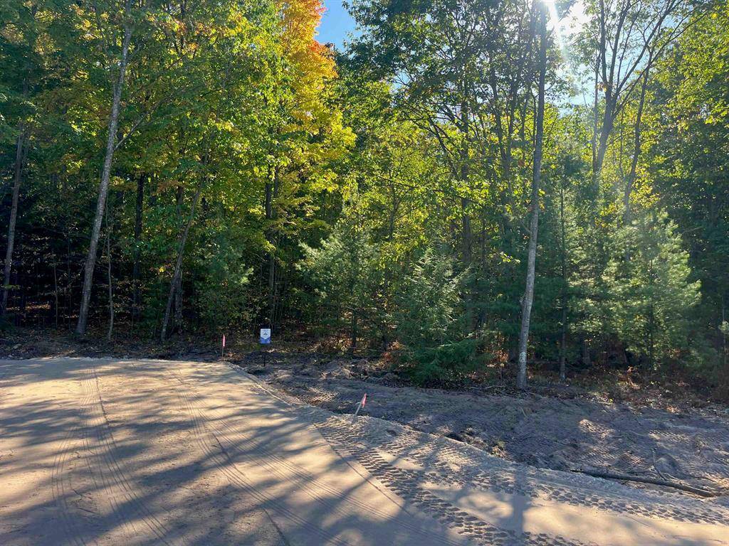 Long Lake Twp, MI 49685,4655 Leaning Birch Drive