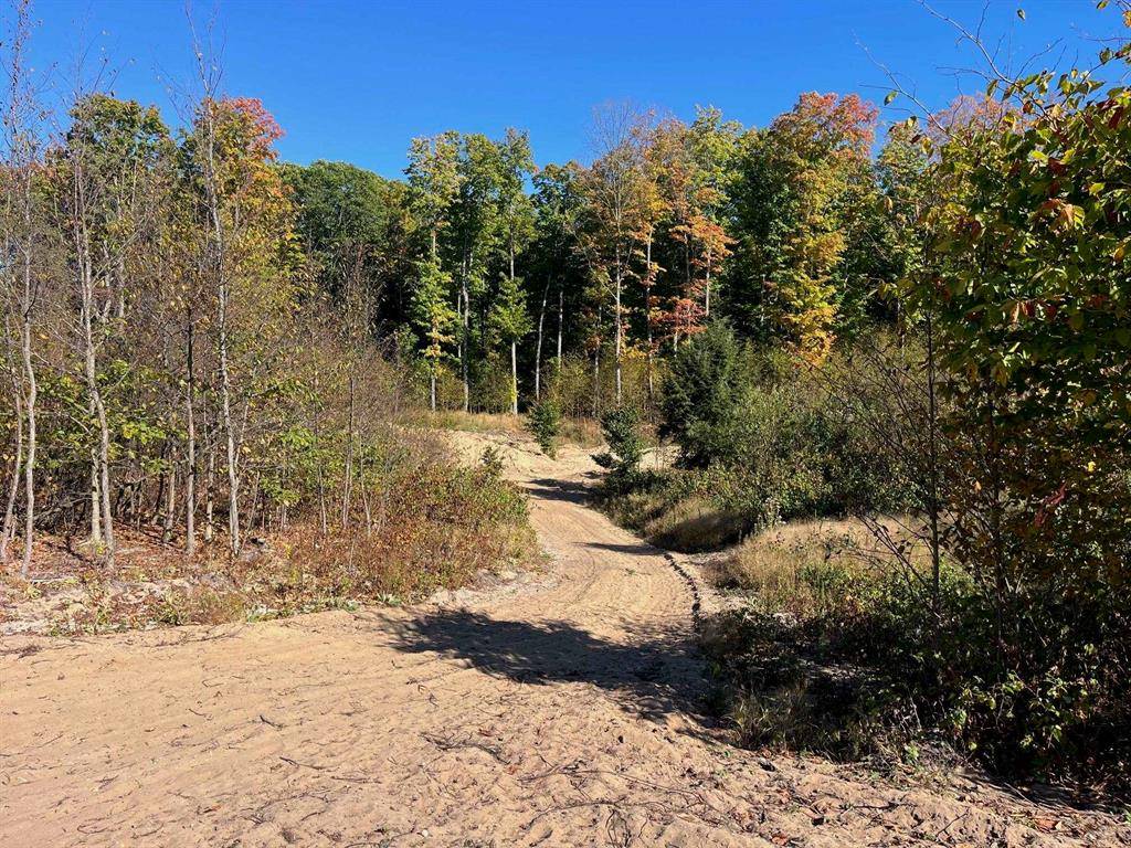 Long Lake Twp, MI 49685,8762 Hemlock Hill Drive
