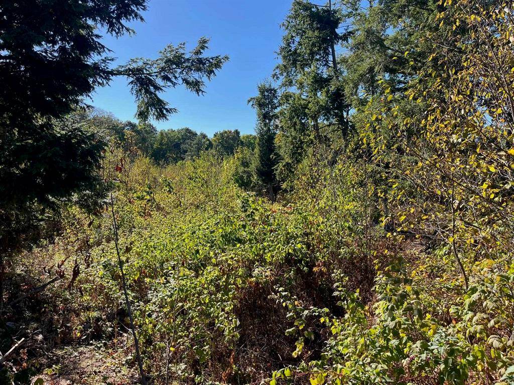 Long Lake Twp, MI 49685,8757 Hemlock Hill Drive
