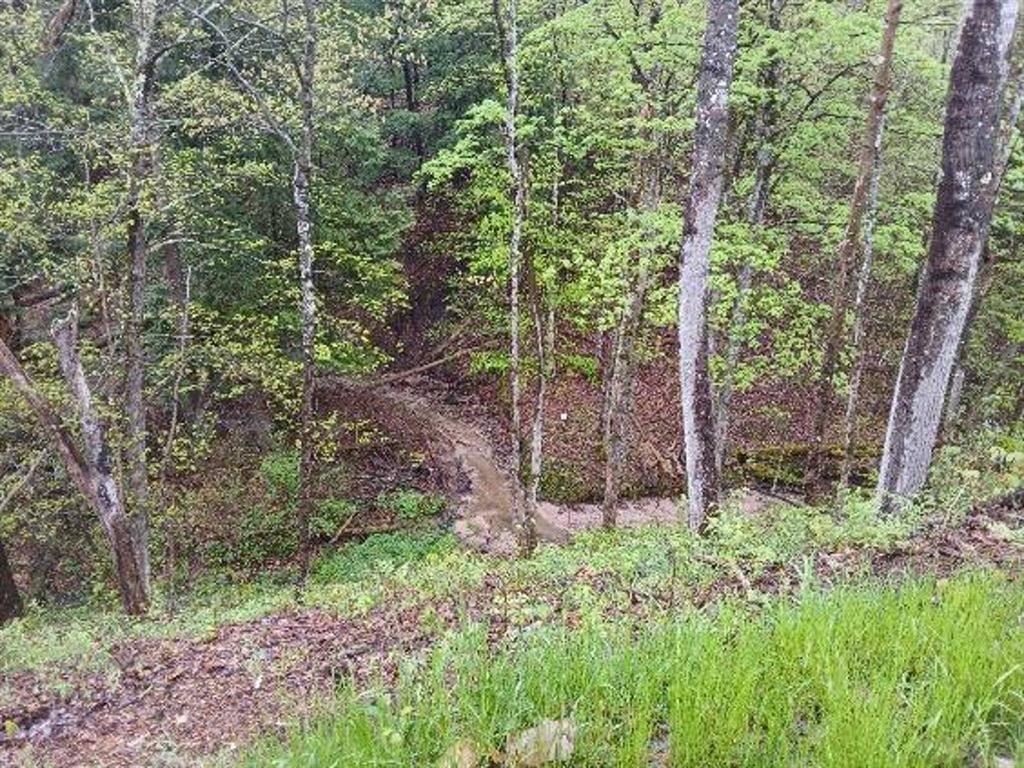 South Branch Twp, MI 49689,8761 W 48 Road