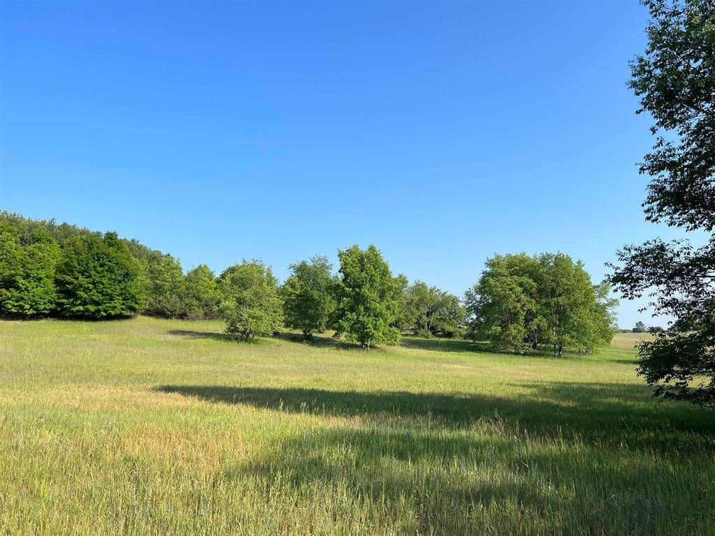 Empire Twp, MI 49630,0000 S Bridle Trail