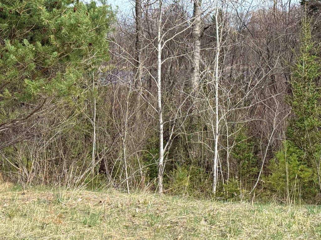Highland Twp, MI 49665,VL Maple Street