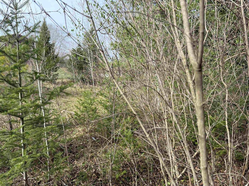 Highland Twp, MI 49665,VL Maple Street