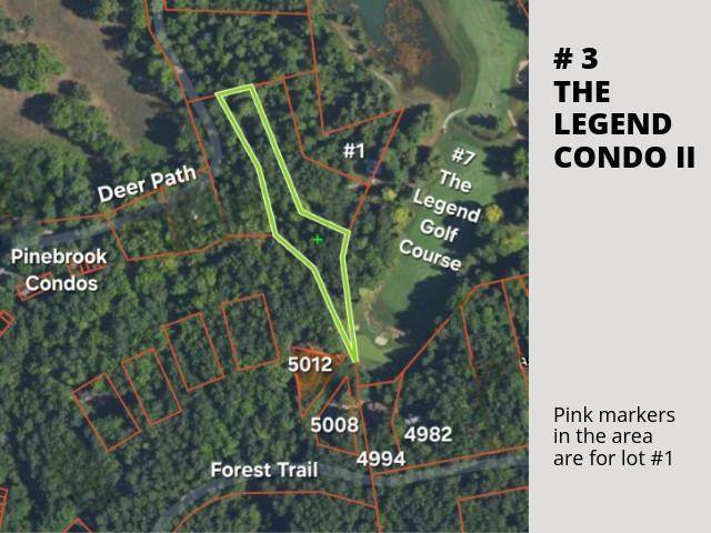 Custer Twp, MI 49615,3 Deer Path