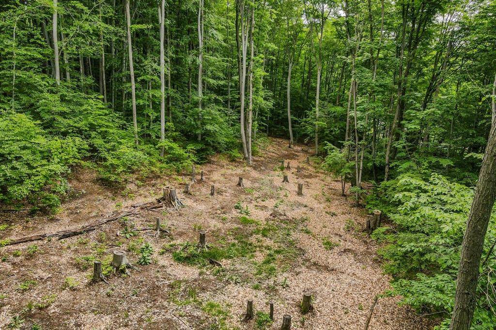 Empire Twp, MI 49630,00 S Bridle Trail