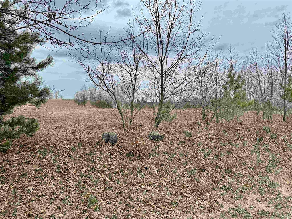 Fife Lake Twp, MI 49649,007 Gleaner Hall Road