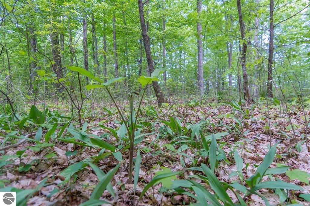 Empire Twp, MI 49630,LOT 9 Fleetwood Court Lot: 9
