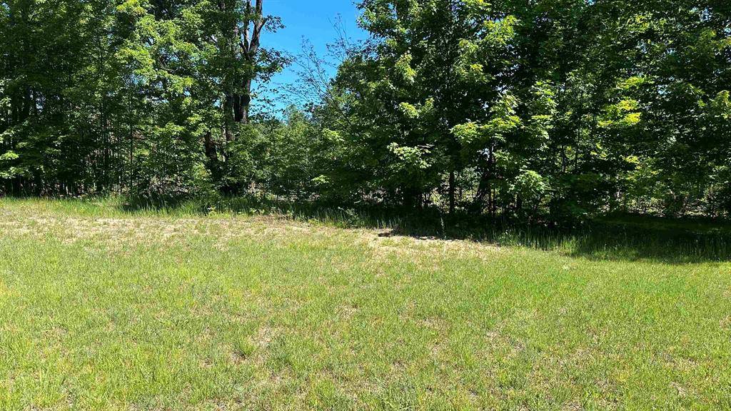Excelsior Twp, MI 49646,291 Kleehammer Club Drive Lot: 18