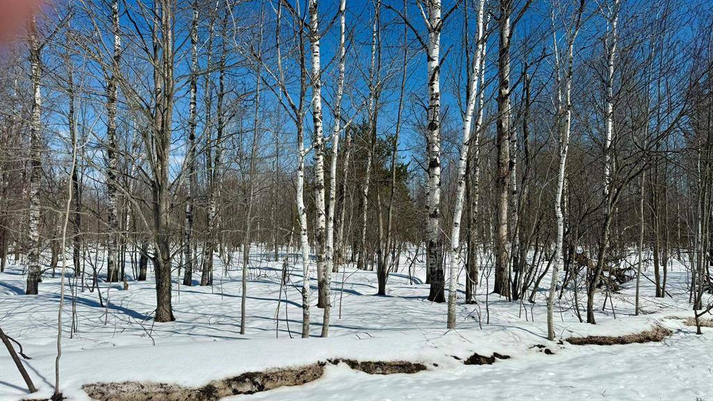 Mancelona Twp, MI 49659,Lot 139 Montrose Drive Lot: 139