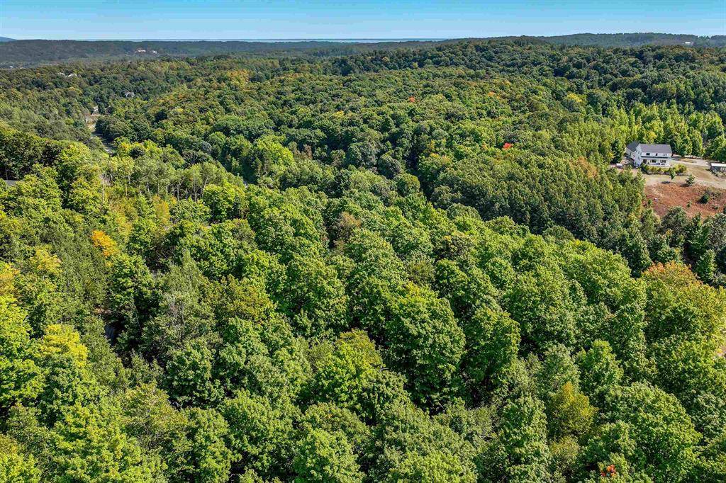 Elmwood Twp, MI 49684,V/L S Cottonwood Drive