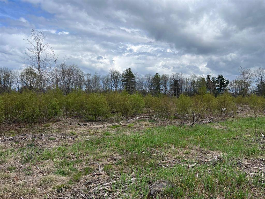 Inland Twp, MI 49640,Carmean Road
