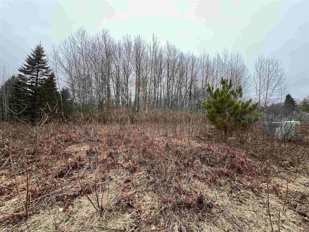 Clam Lake Twp, MI 49601,Lot 19 Crestview Drive