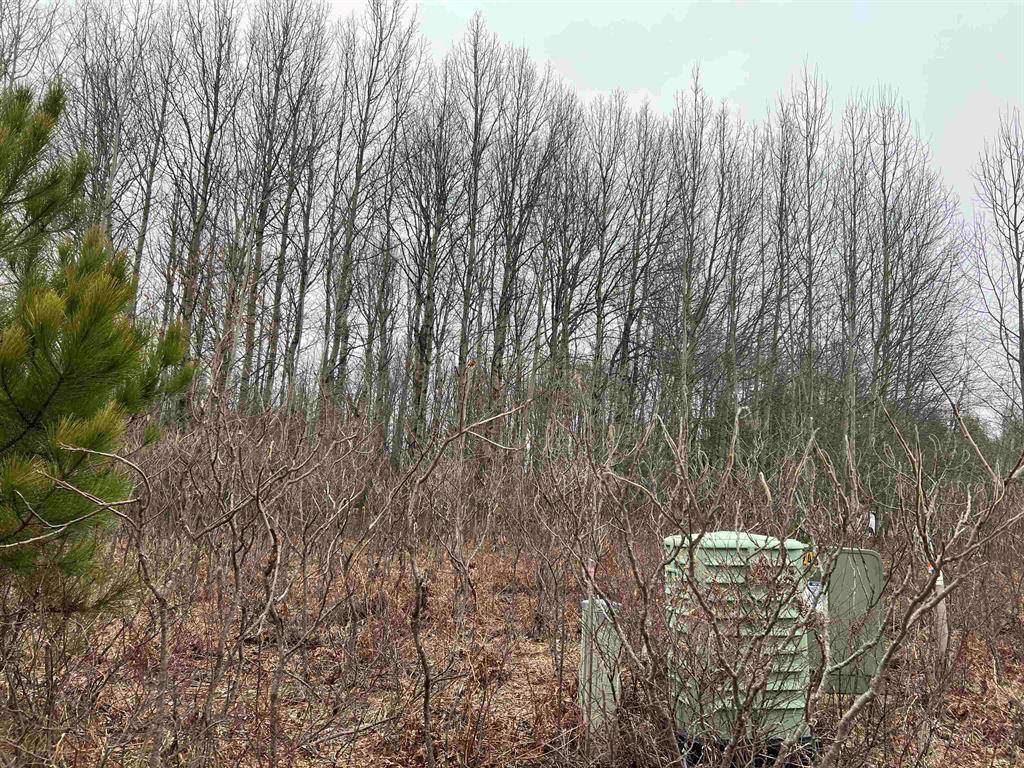 Clam Lake Twp, MI 49601,Lot 20 Crestview Drive