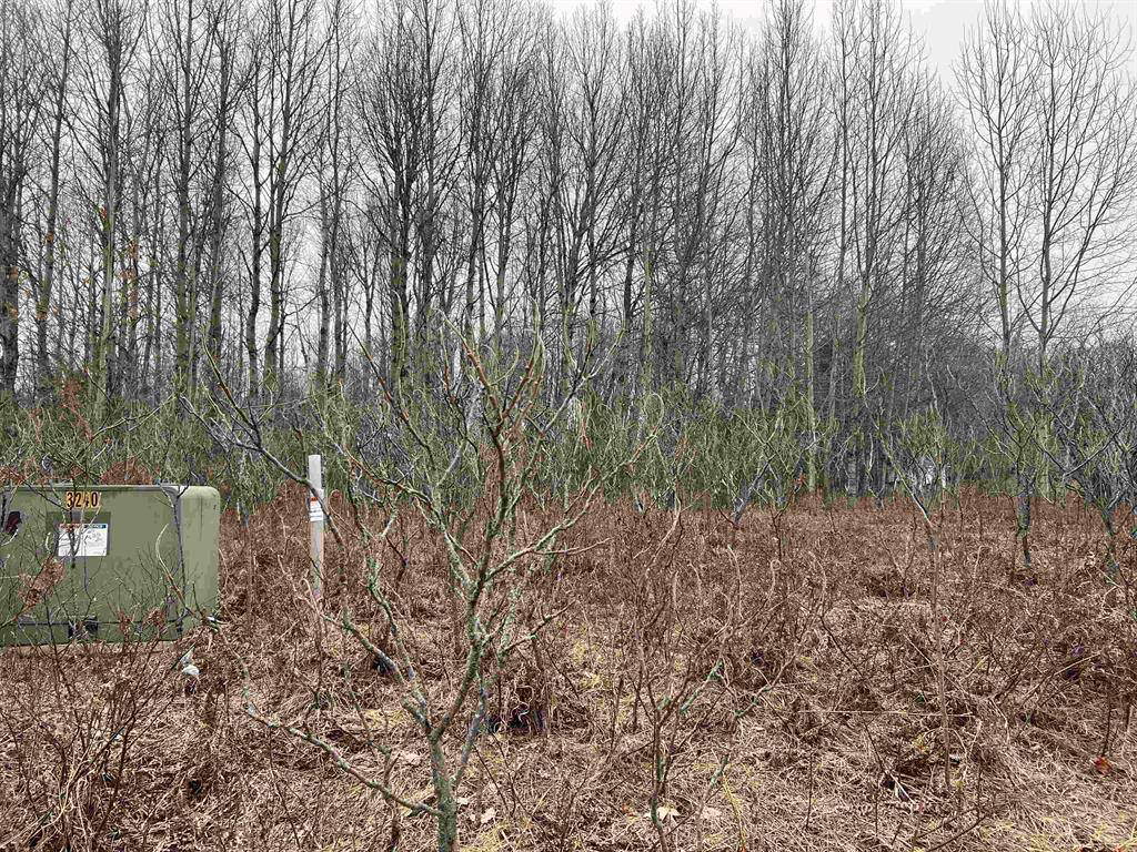 Clam Lake Twp, MI 49601,Lot 20 Crestview Drive