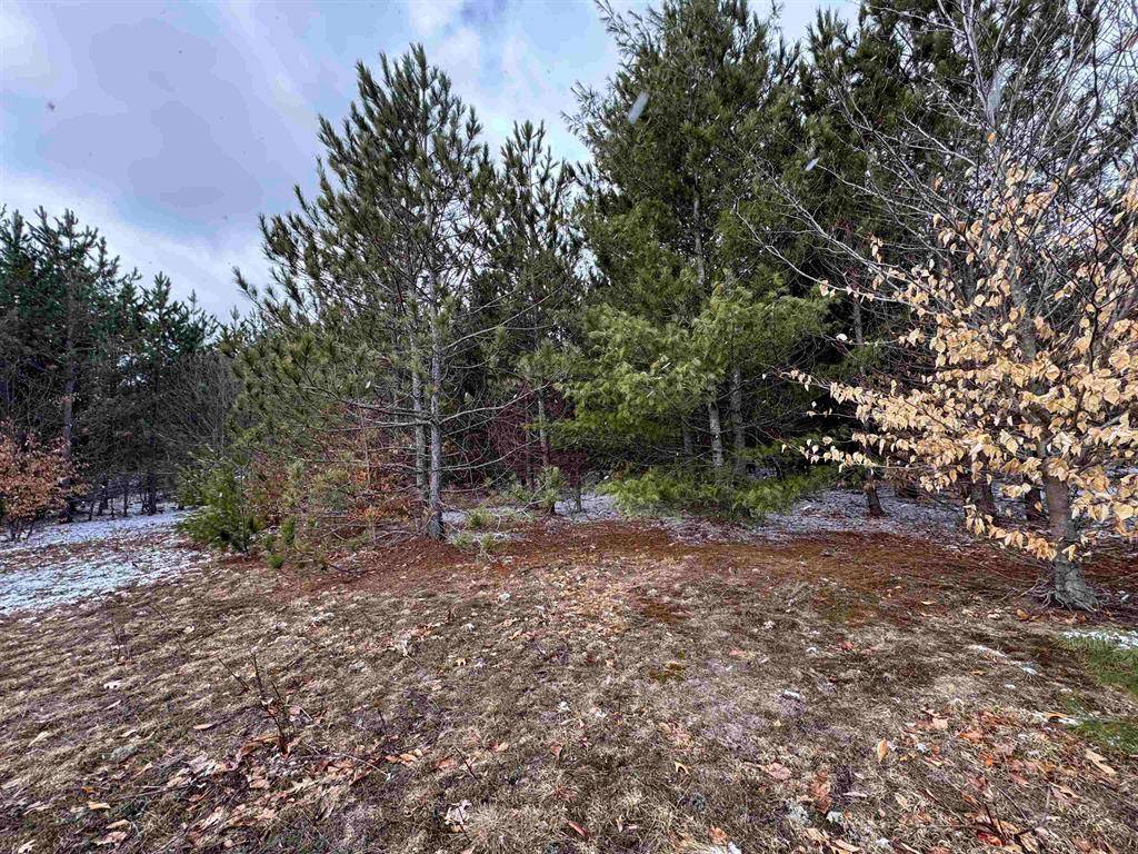 Green Lake Twp, MI 49637,6459 Jeffrey Place Lot: 26