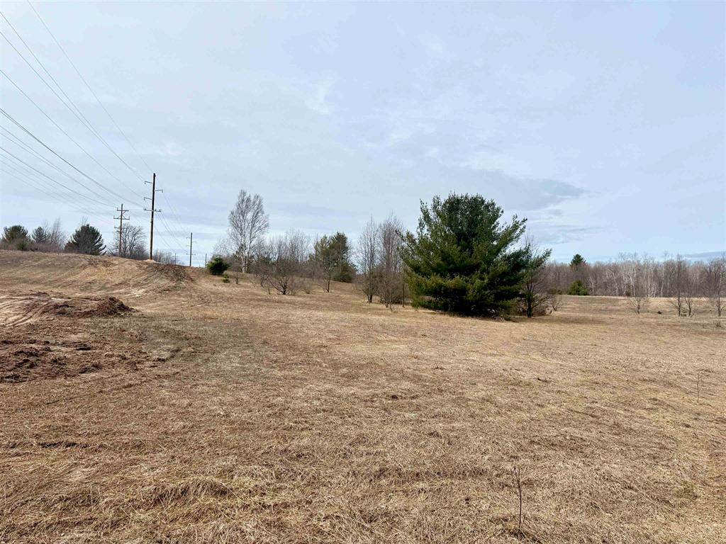 Cleveland Twp, MI 49664,000 W Trumbull Road Lot A