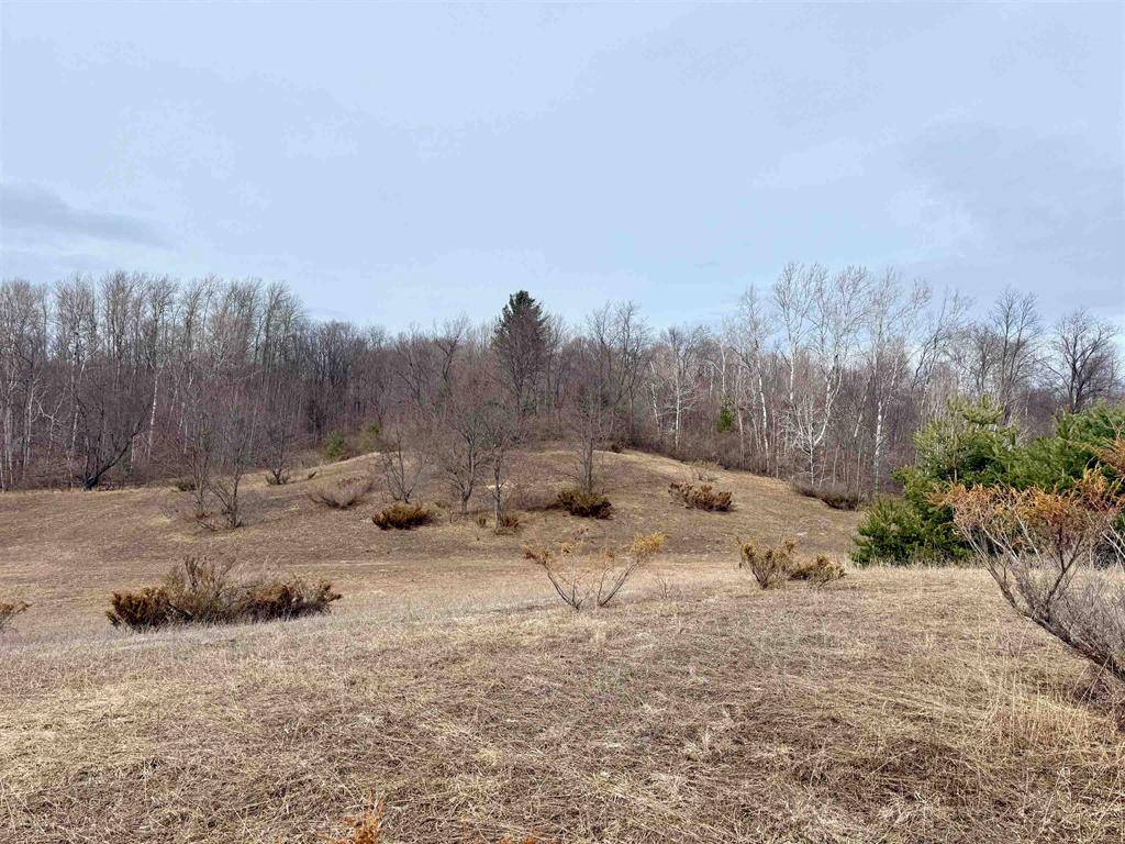 Cleveland Twp, MI 49664,000 W Trumbull Road Lot A