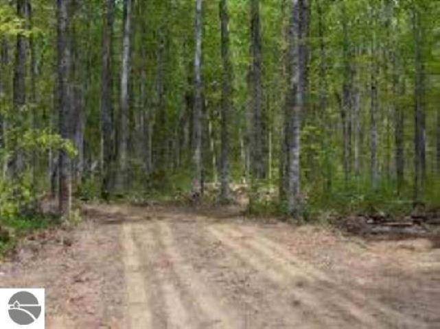 Cold Springs Twp, MI 49646,0 Cunningham Road