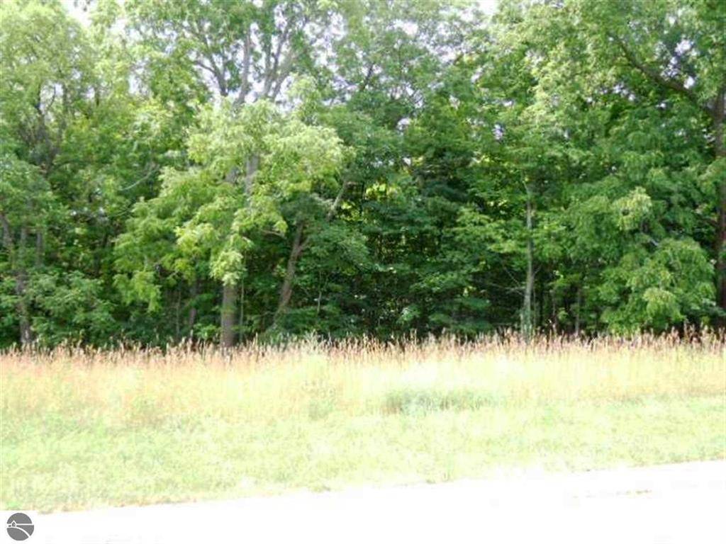Garfield Twp, MI 49684,1776 Incochee Hills Drive Lot: 68