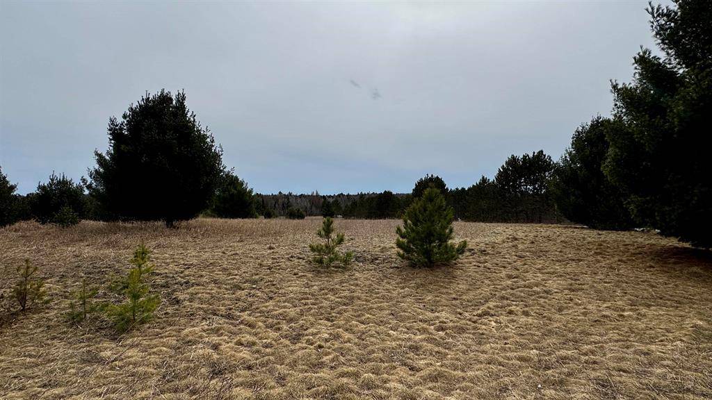 Cherry Grove Twp, MI 49601,Lot #5 Wedgewood Court Lot: 5