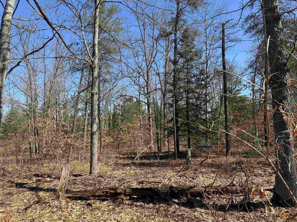 East Bay Twp, MI 49696,5265 Scharmen