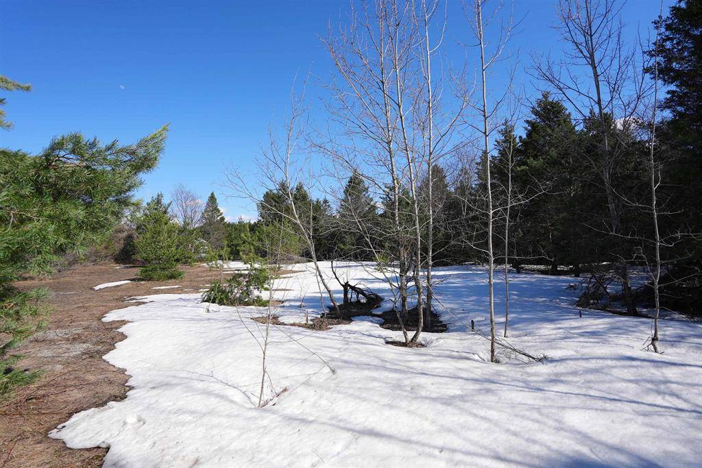 Mancelona Twp, MI 49659,V/L Darragh Road