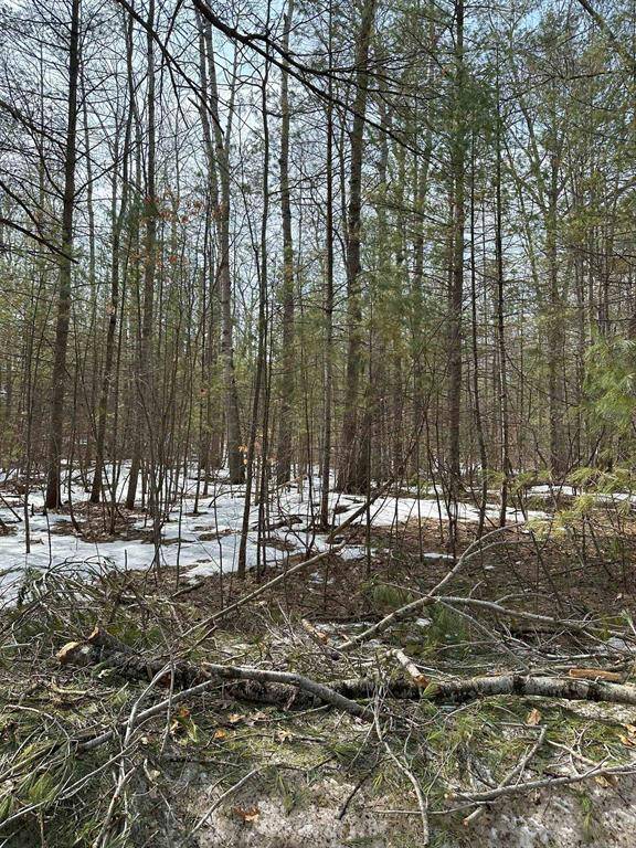 Bear Lake Twp, MI 49646,00 E Bear Lake Road