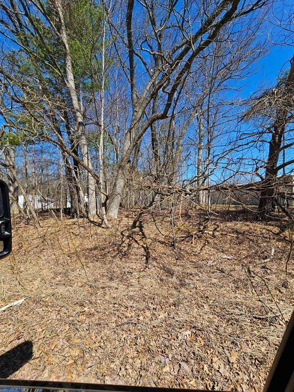 Merrill Twp, MI 49312,000 W Lincoln Street