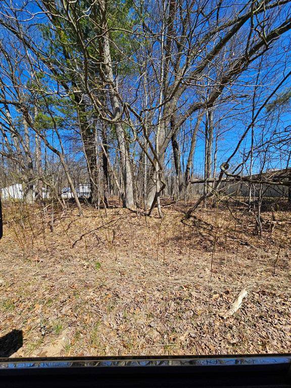Merrill Twp, MI 49312,000 W Lincoln Street