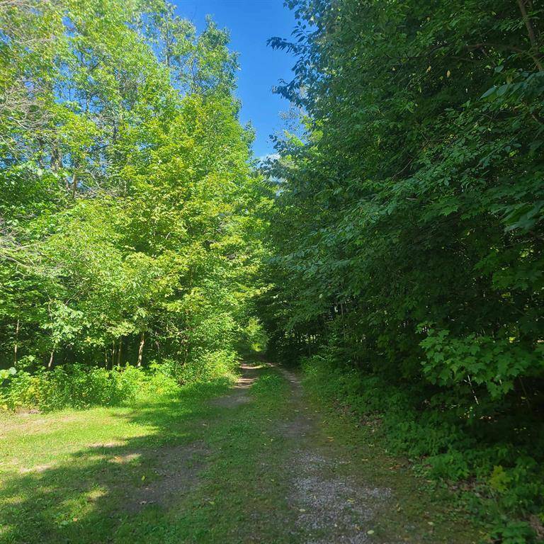 Cold Springs Twp, MI 49680,7931 Twin Lake Road, NE