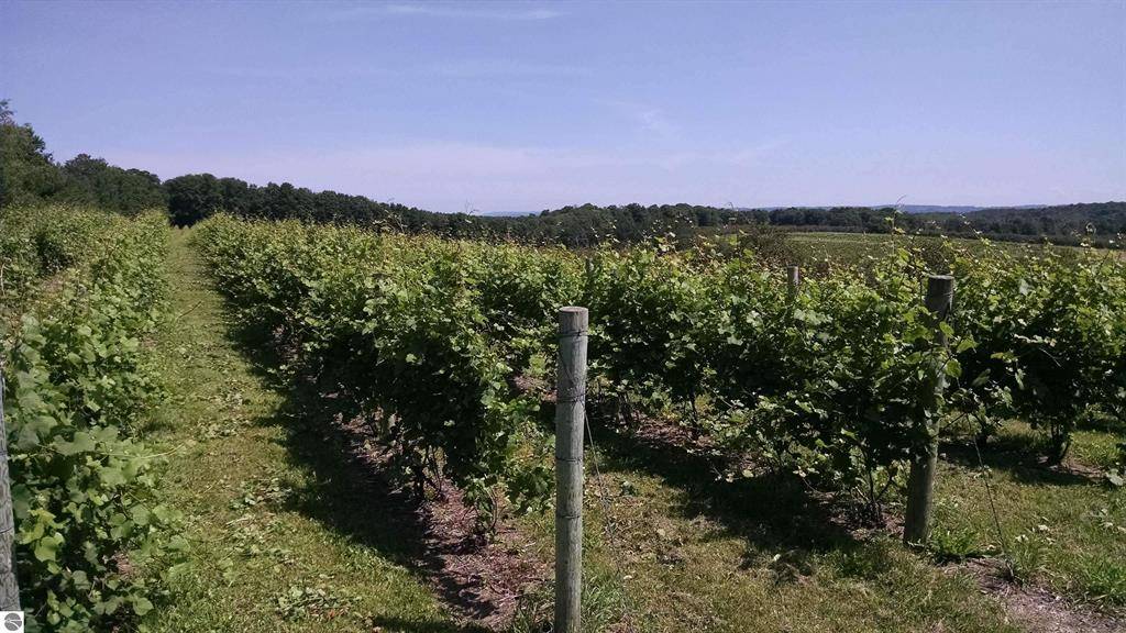 Leland Twp, MI 49653,S French Road