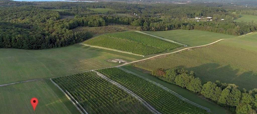Leland Twp, MI 49653,S French Road