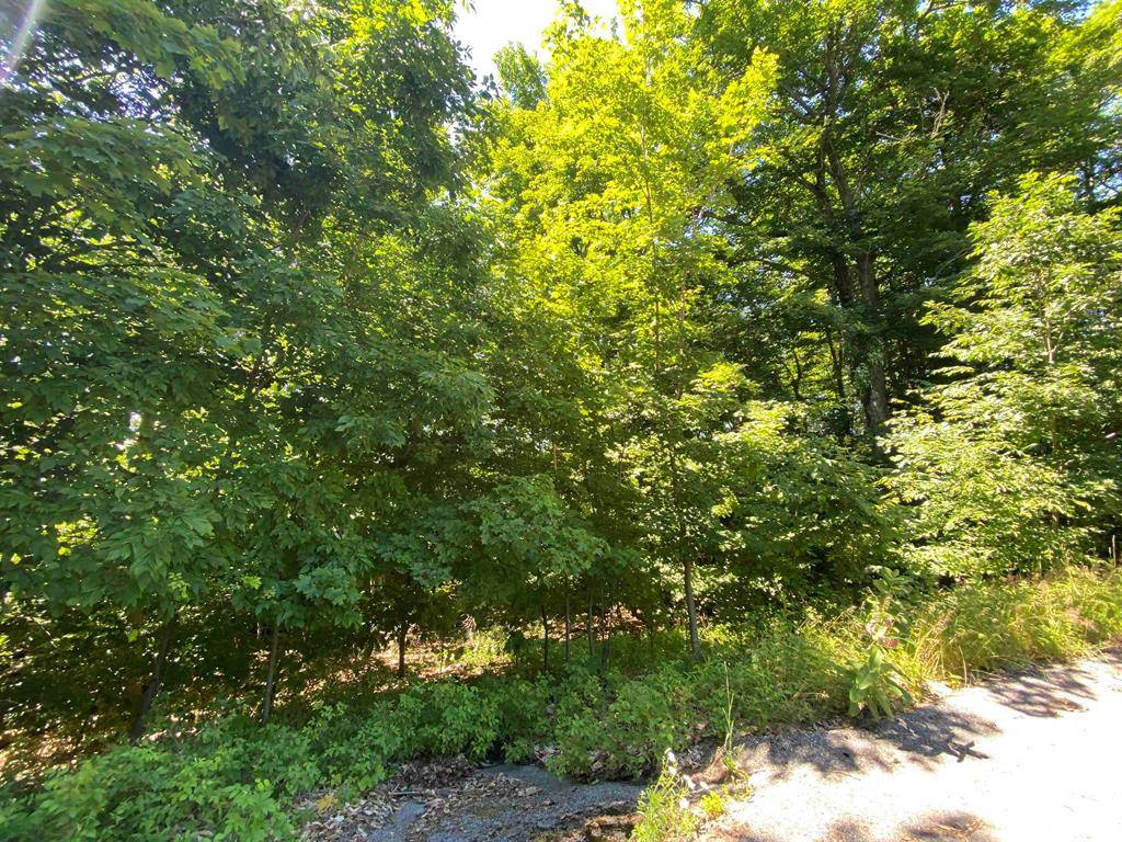 Cleveland Twp, MI 49621,Lot 9 S Club Drive