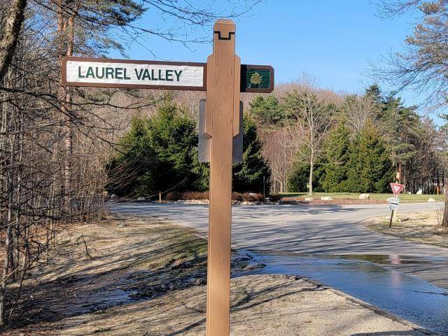 Kearney Twp, MI 49615,139 & 140 Laurel Valley