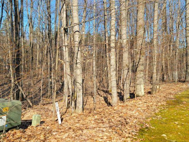 Kearney Twp, MI 49615,139 & 140 Laurel Valley