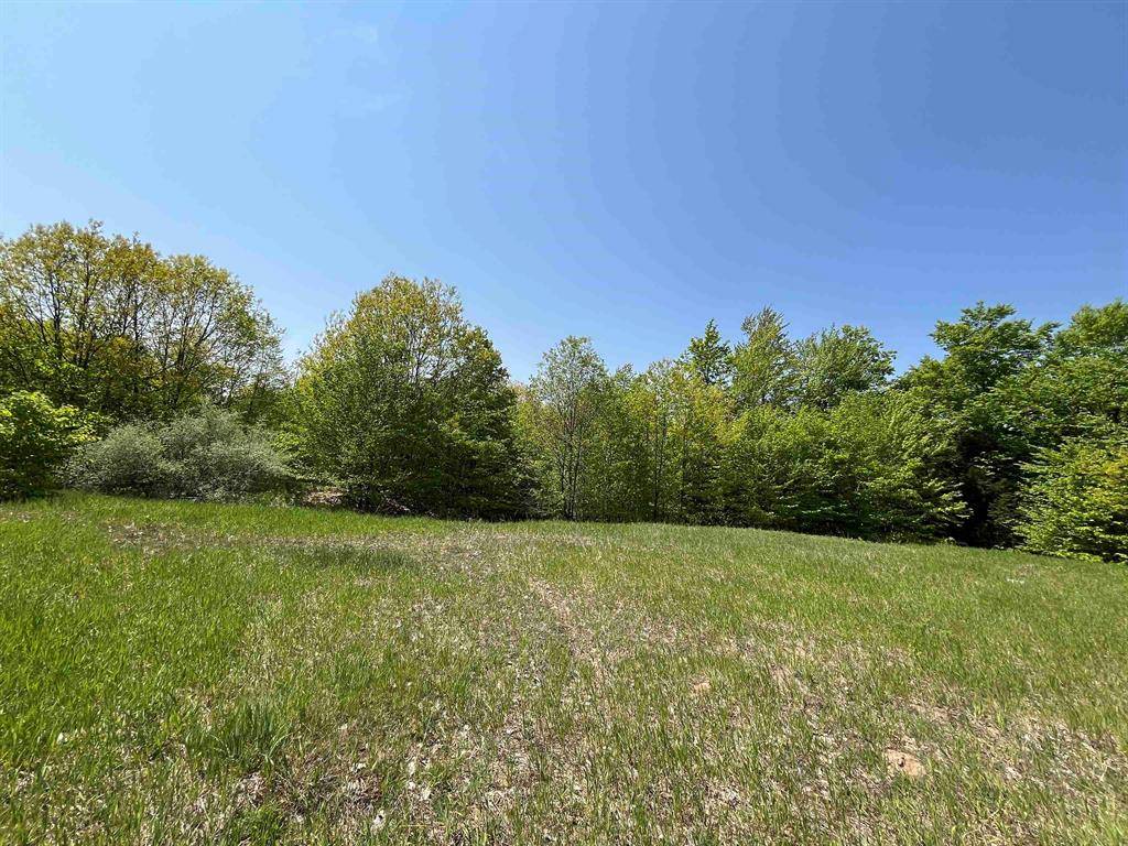 Grant Twp, MI 49637,Horton Creek Drive Lot 15 Lot: 15