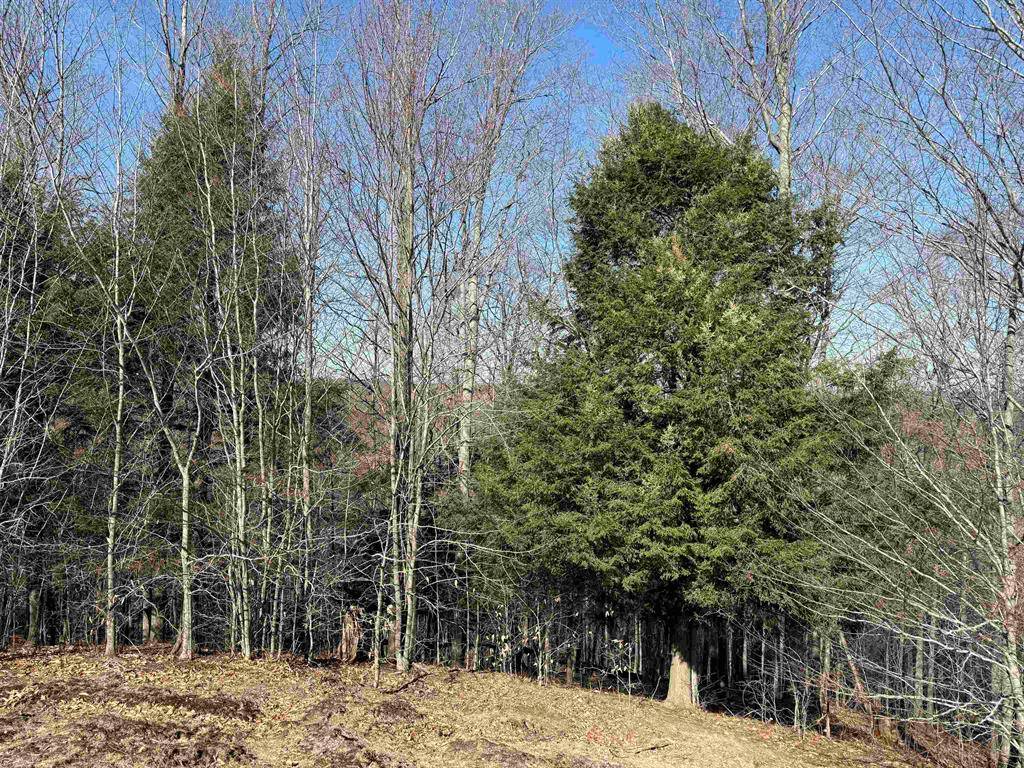 Grant Twp, MI 49637,Horton Creek Drive Lot 15 Lot: 15