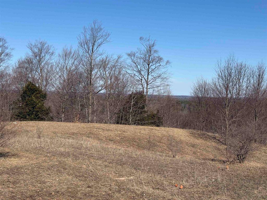 Grant Twp, MI 49637,Horton Creek Drive Lot 15 Lot: 15