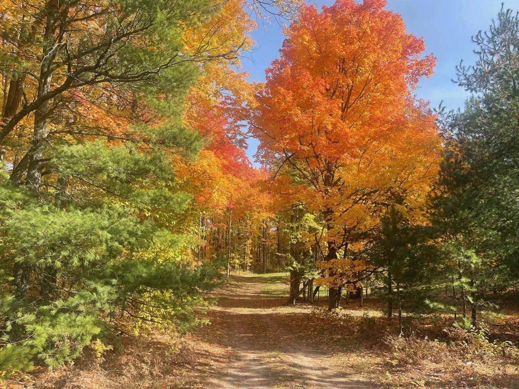 Springfield Twp, MI 49633,5932 SW Old Oak Trail Lot 12-Wildwood