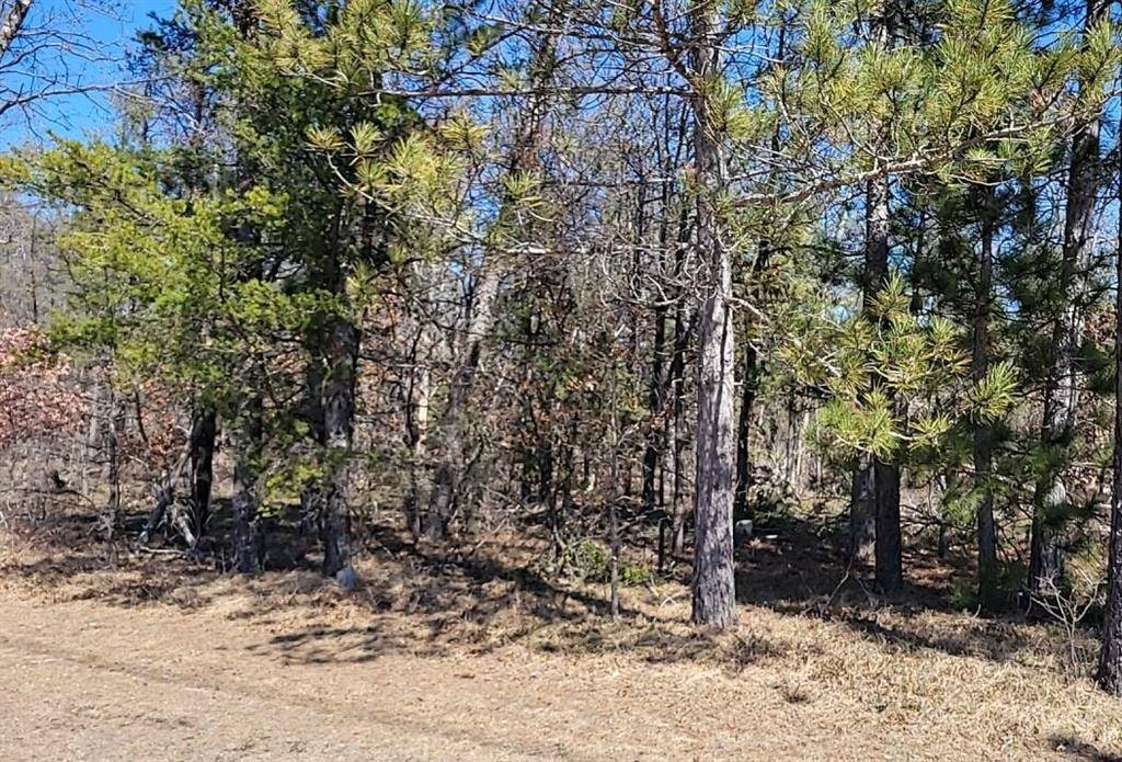 Grayling Twp, MI 49738,Site 9 Lumberjack Court