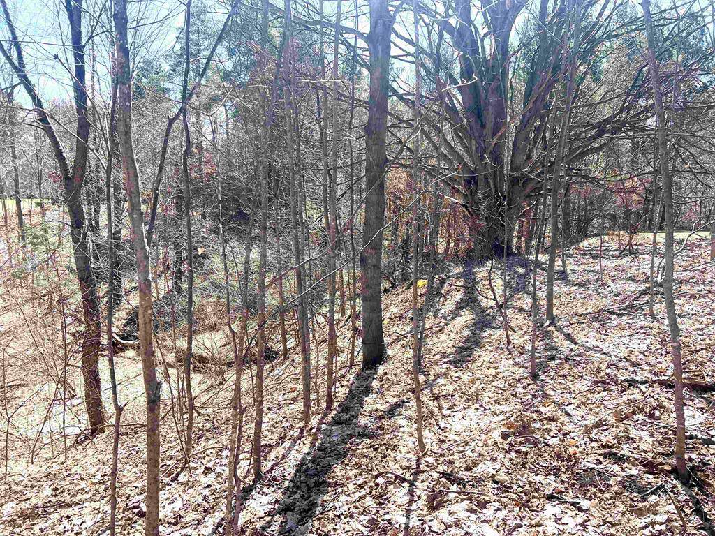 White Water Twp, MI 49690,6412 Applewood Lane