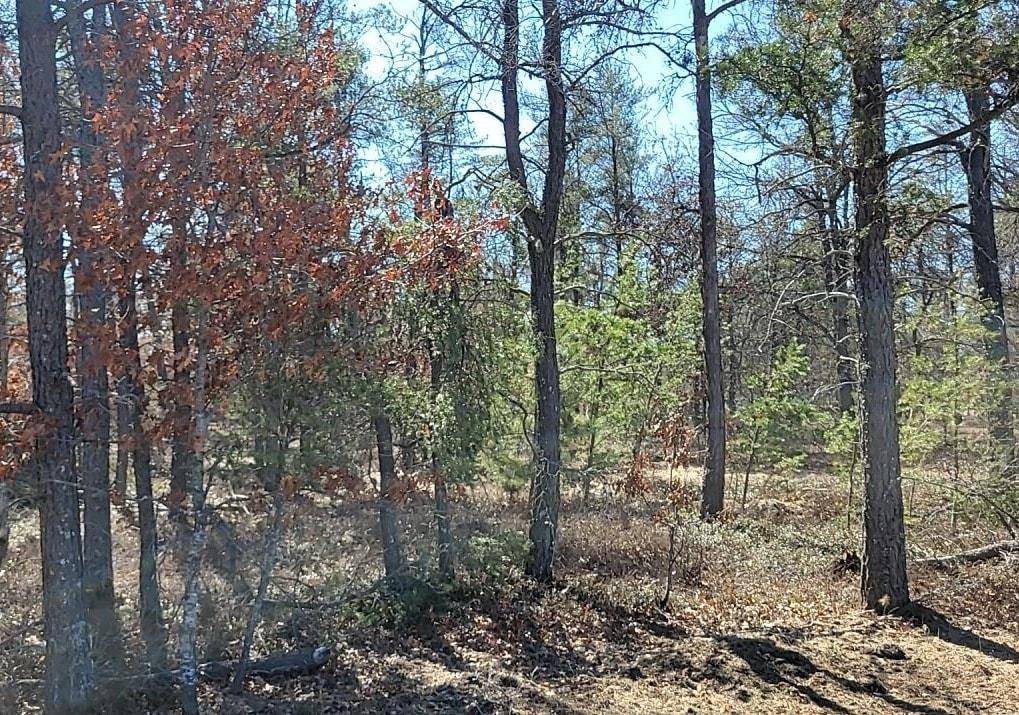 Grayling Twp, MI 49738,Site 10 Lumberjack Court