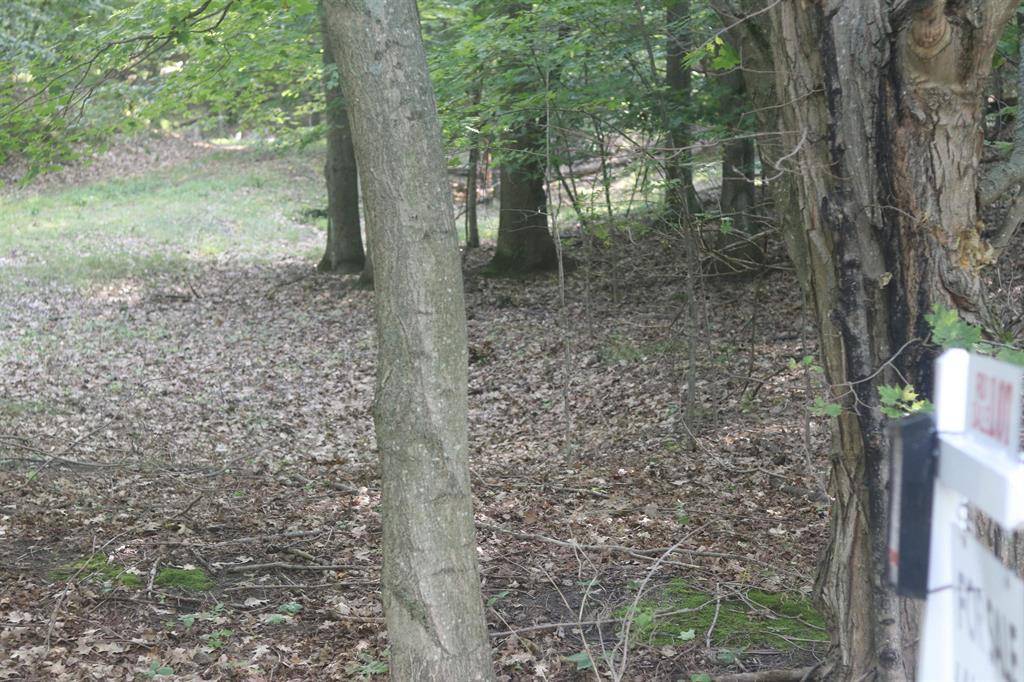 Lake Twp, MI 49617,Lot 21 Crystal View